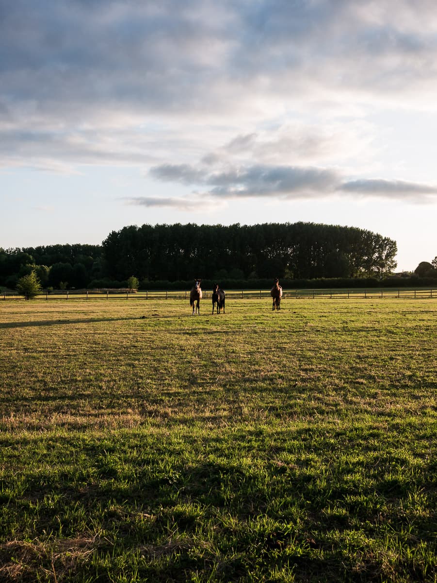 Photo de mariage Élise & Antoine à Seclin — Nicolas De Wagner Photographe